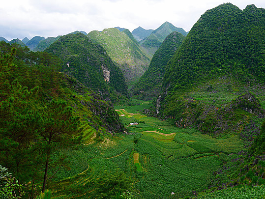 Découverte insolite de la région d’Ha Giang avec Ethnic Voyage Vietnam