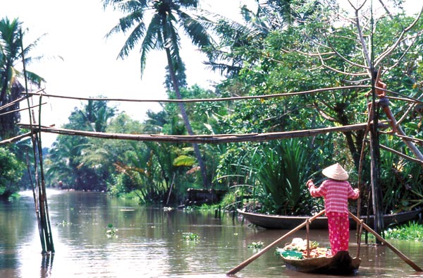 Delta du Mekong - Vie au fil de l'eau