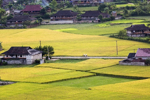 Hình ảnh có liên quan