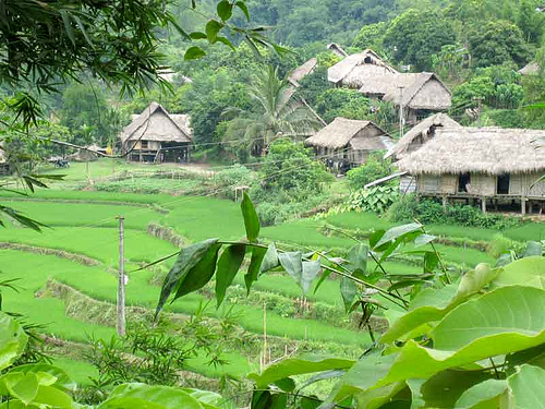 Mai Chau Ethnic Village Discovery - Full day