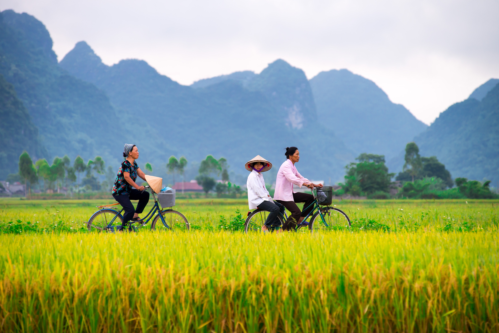 Bac Son Valley Private Day Tour  - Full Day