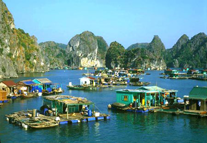 02 Days - Bai Tu Long Bay, Van Don Bay & Quan Lan Island